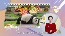 成年午夜视频免费观看视频
